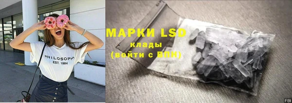 гашиш Богданович