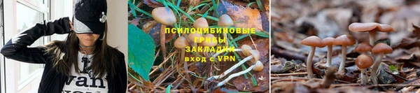 spice Богородск