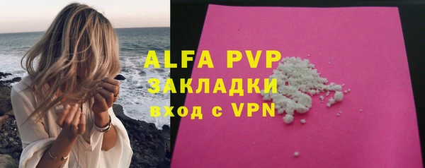 гашиш Богданович