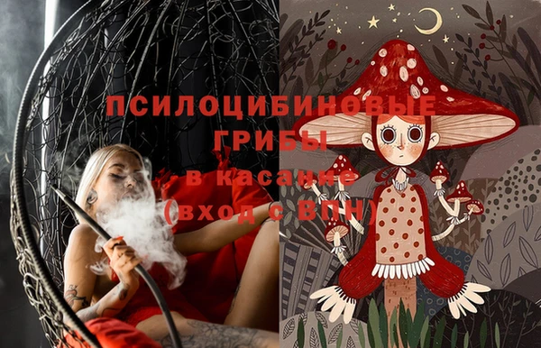 spice Богородск