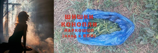 spice Богородск