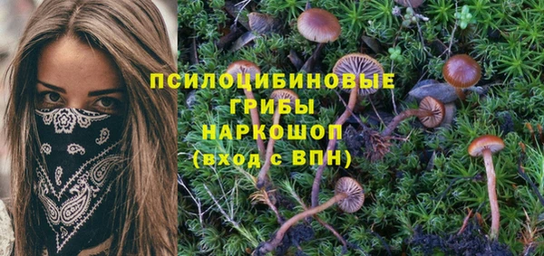 spice Богородск