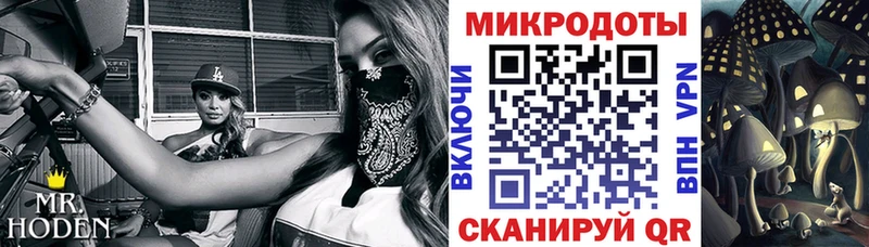 купить наркоту  Свободный  Псилоцибиновые грибы мухоморы 